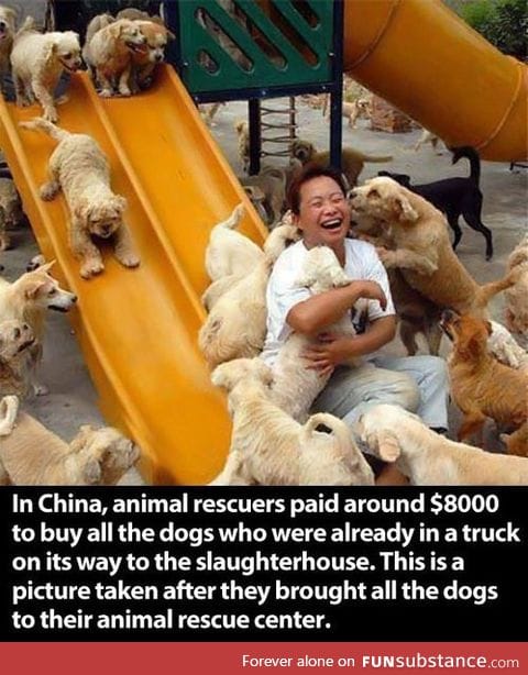 Faith in Humanity Restored !