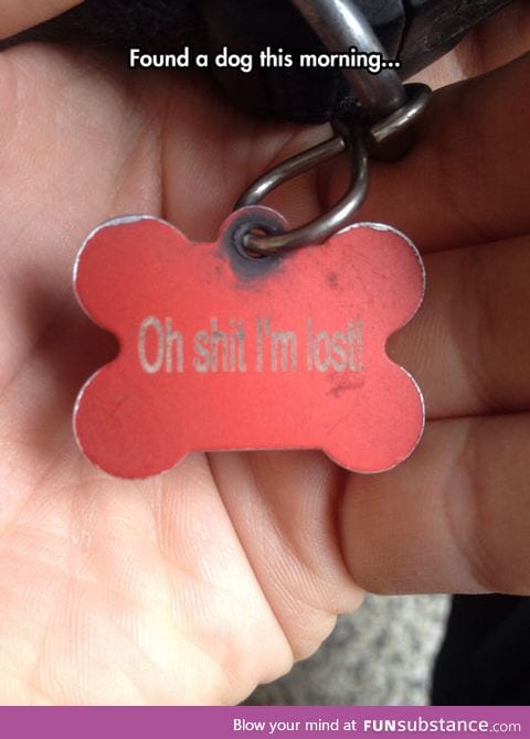 Perfect dog tag