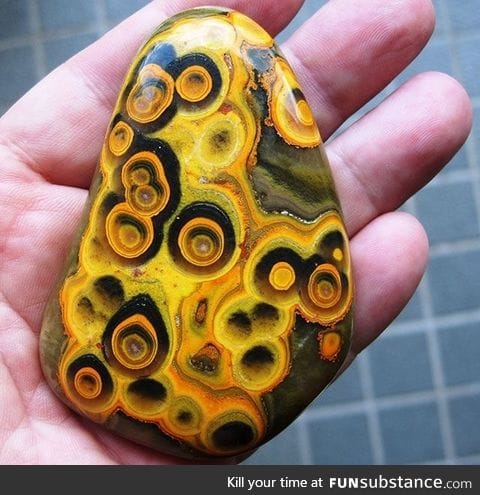 Bumblebee jasper