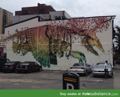 This building art in Montreal blew me away