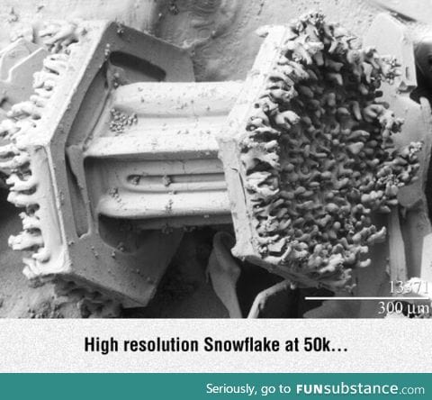 Snowflake under electron microscope