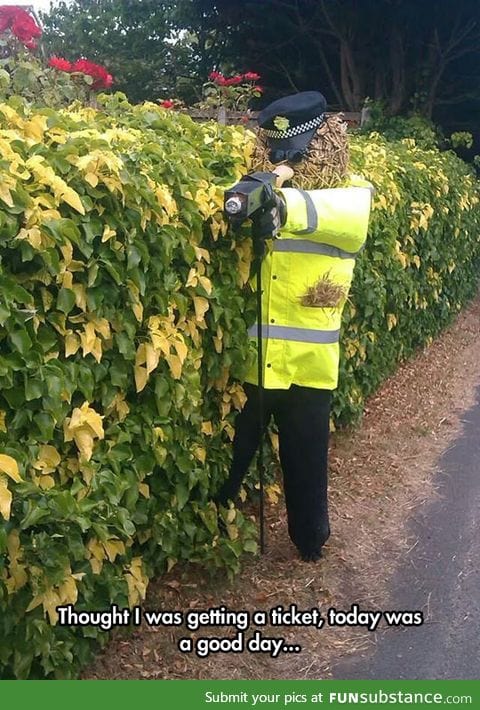 A bushy officer