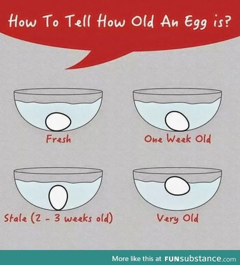 How to tell how old an egg is