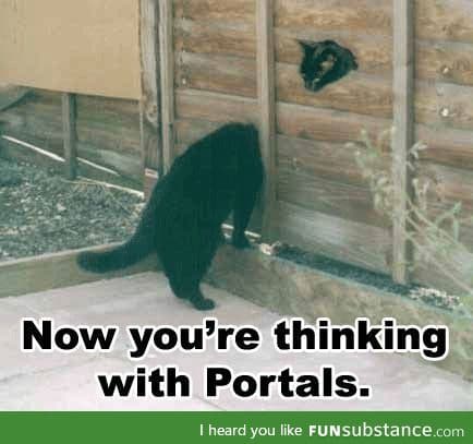 Portal: Meow-meow edition