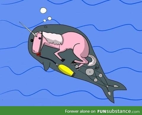 The truth behind narwhals