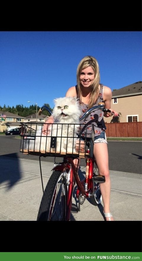 Cat's first bike ride. Was not pleased