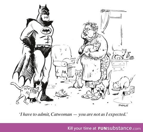 Batman meets catwoman