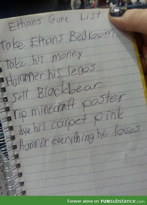 Daughter's list in case anything happens to her older brother
