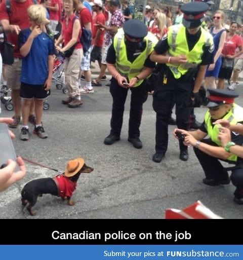 Job of a Canadian police