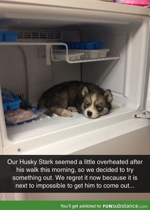 He wants to live in the fridge