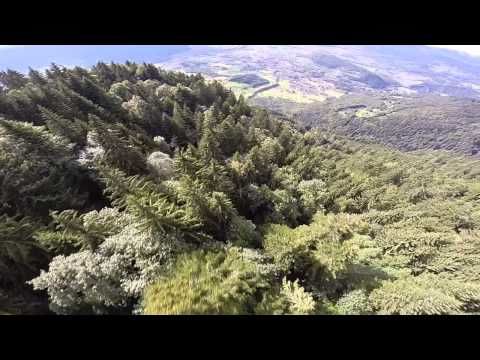 Crazy Wingsuit Flyer Does The "Avalanche Line" In The Alps