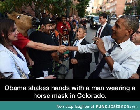 President of horses