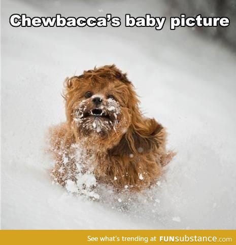 Chewbacca's So Cute!