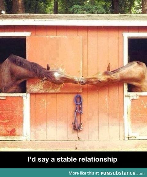 Stable relationship