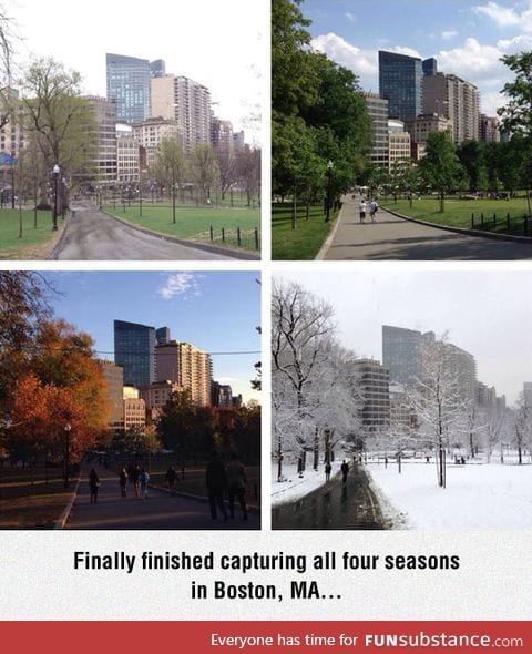 All four seasons