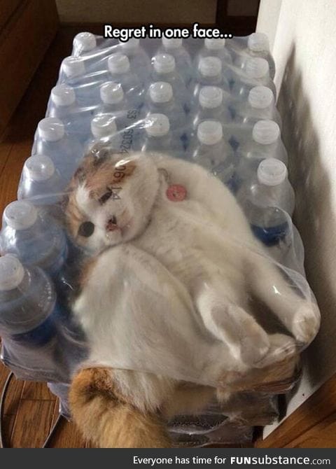 If I fits, I... Nope