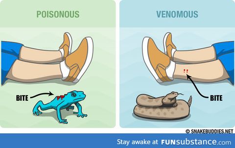 Clarification: Poisonous vs Venomous