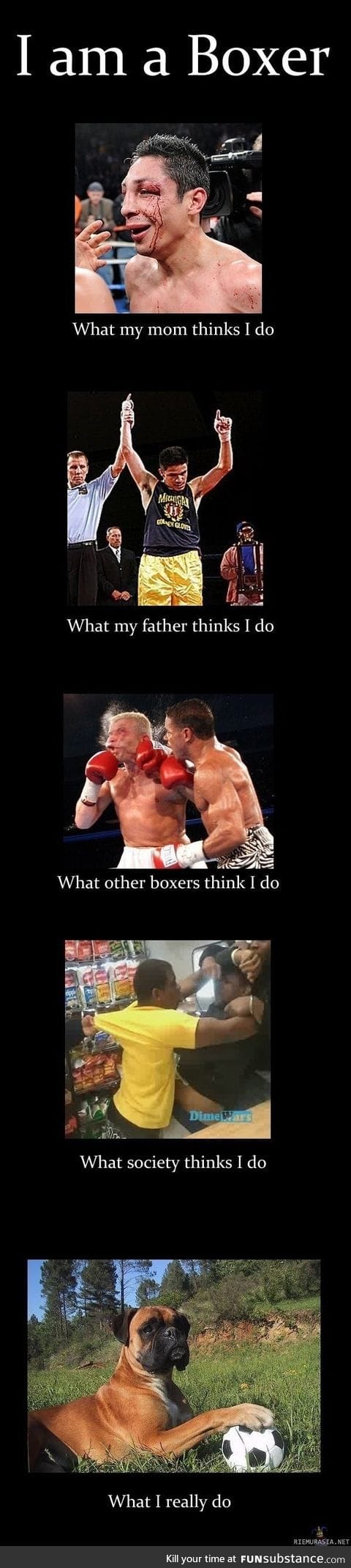 Boxers are misunderstood