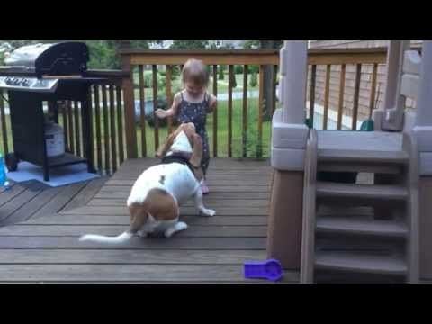 This baby girl playing with her basset hound on the deck will make your day