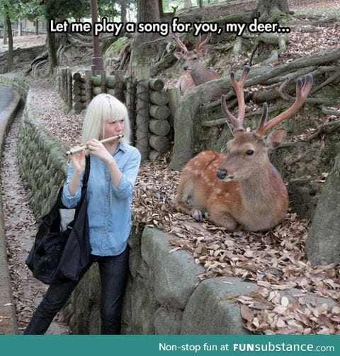 Just for you, my deer