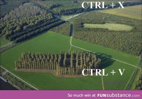 CTRL+X,CTRL+V