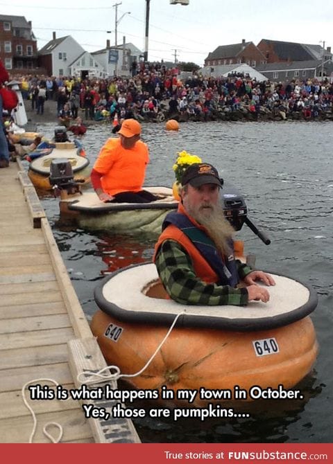 Pumpkin boat race