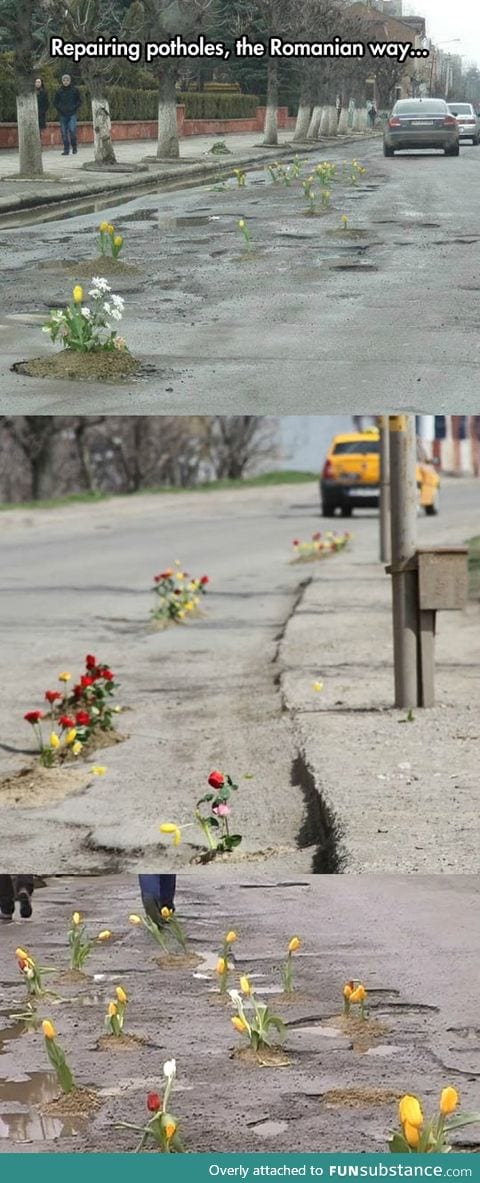 A garden in the middle of the street