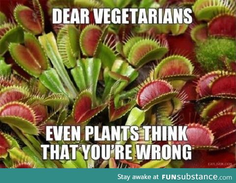 Dear vegeterians