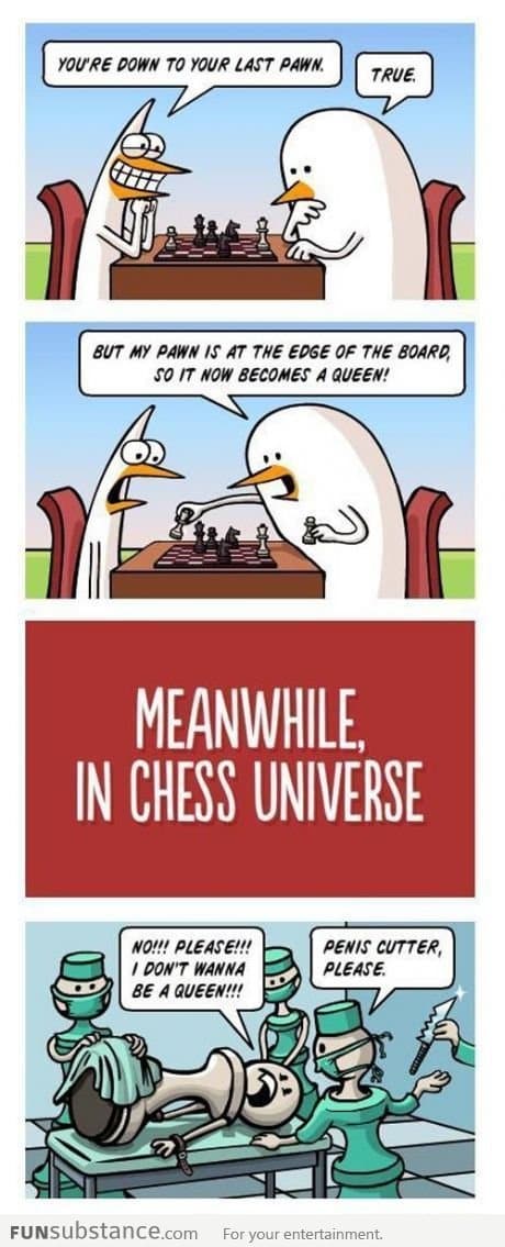 Chess in another universe