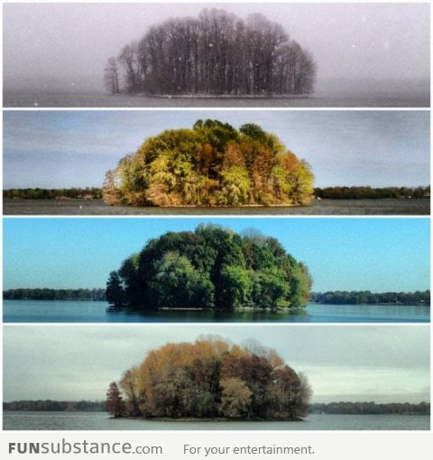 Four seasons of an island