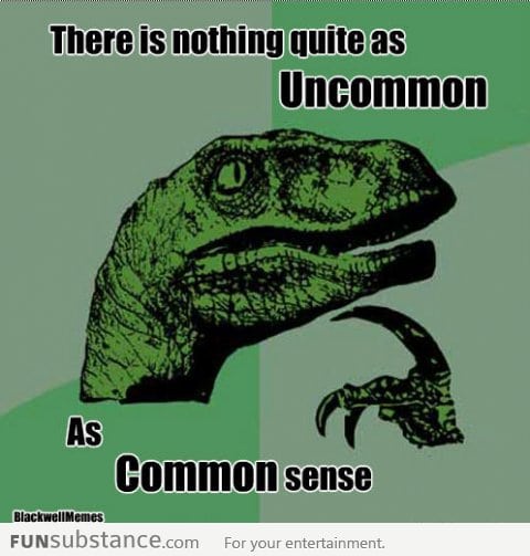 Common Sense Is Uncommon