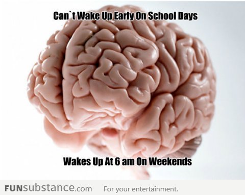 Scumbag body clock