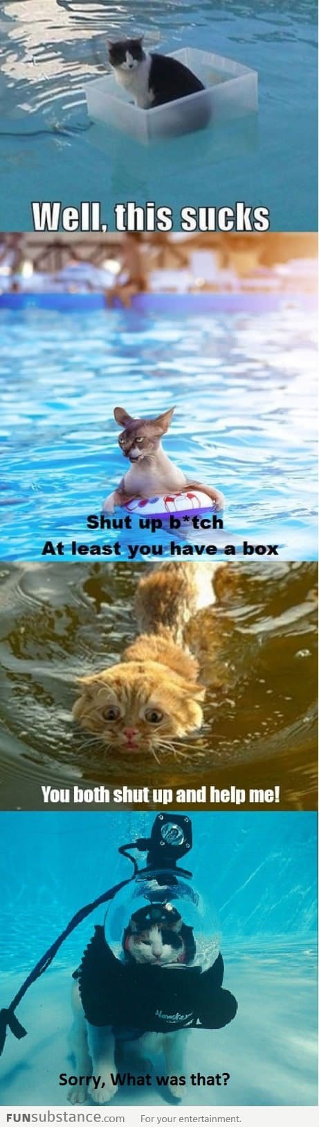 Water cats