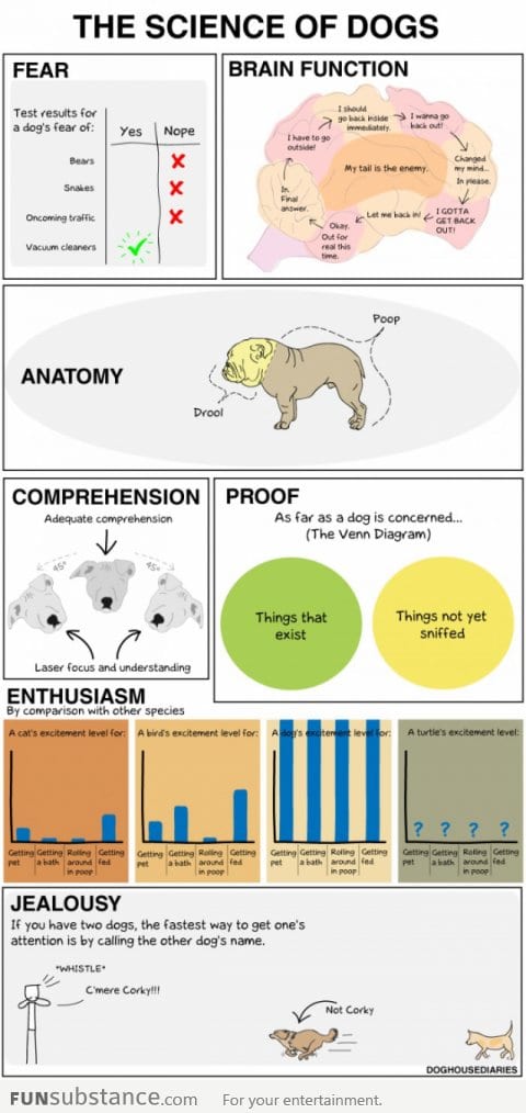 Science of DOGS