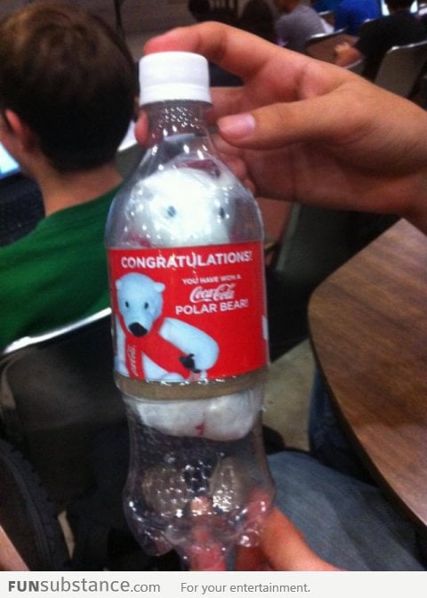 Bought a soda and a bear came out