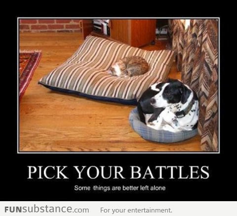 Pick your battles