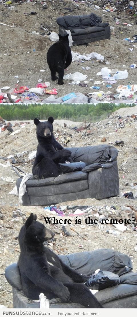 Where's the damn remote?