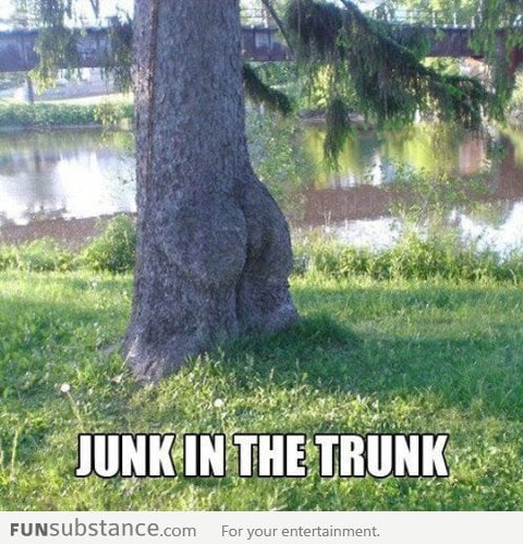 That trunk