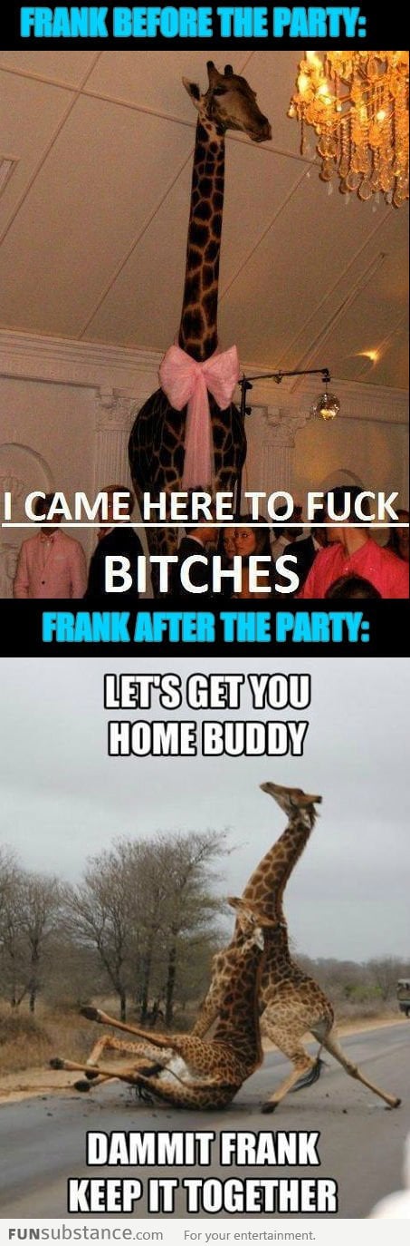 Frank The Giraffe