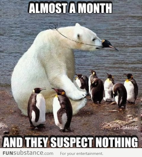 Polar Bear Disguise