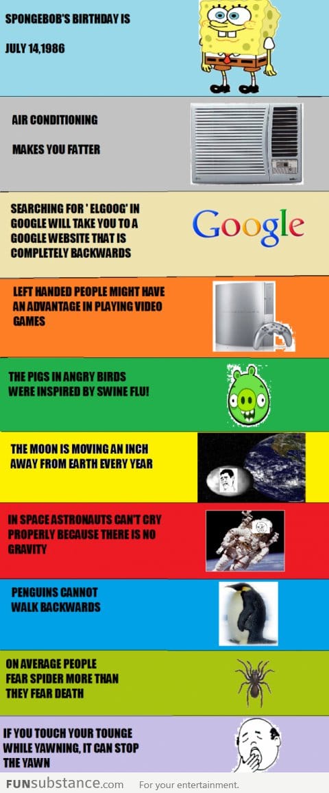 10 Random Facts