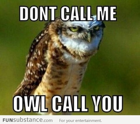 Owl call you