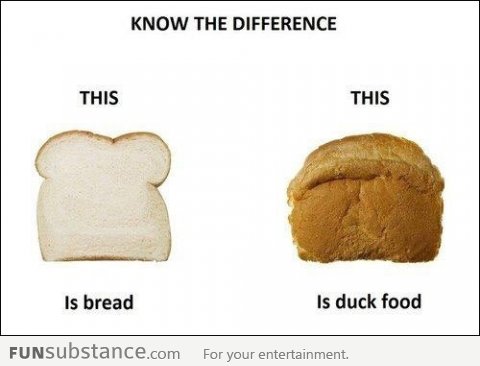 Bread Differences