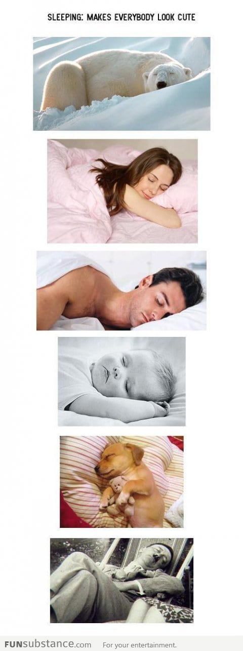 Sleeping makes everybody look cute