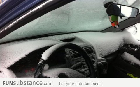 When you leave your car window open in Norway