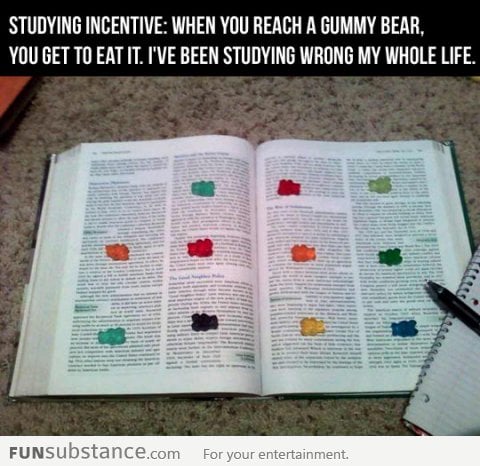 Studying Incentive