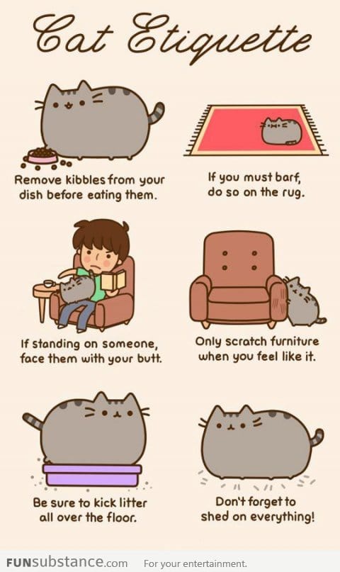 The Cats' Secrets