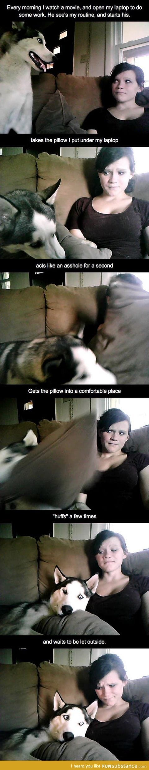 Dog morning routine