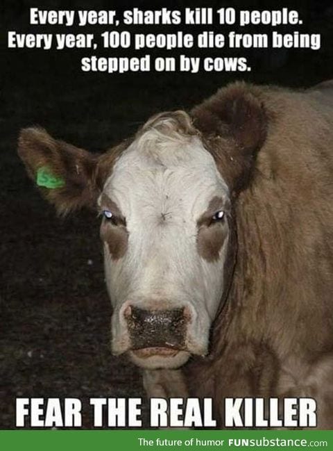 Cows are the real killer