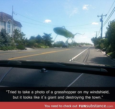 Godzilla Grasshopper